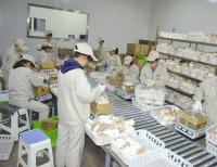 食品行業